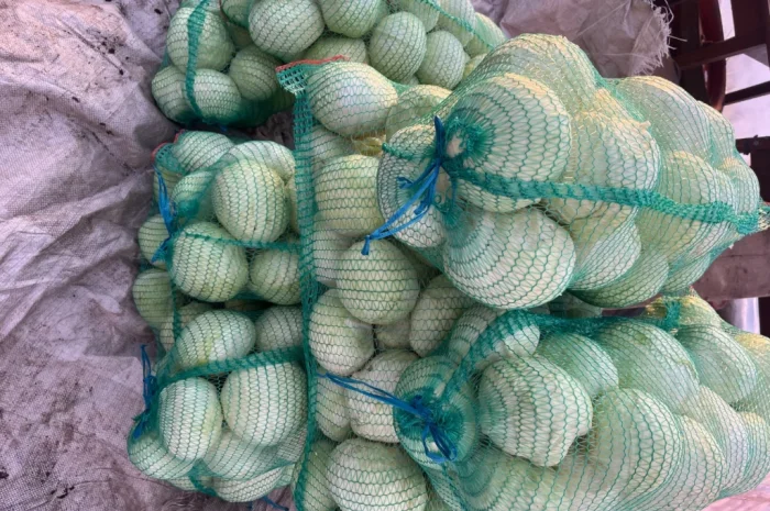 Капуста хорошего качества- фото № 1