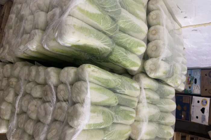 Продаю пекінську капусту оптом- фото № 3