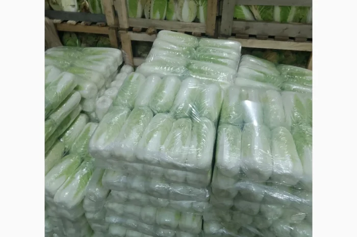 Продаю Пекінську капусту Бронко- фото № 1