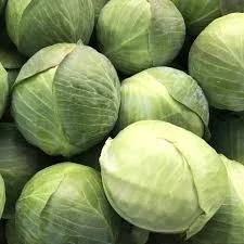 Закуповуємо білокачанну капусту від 10 тонн- фото № 1