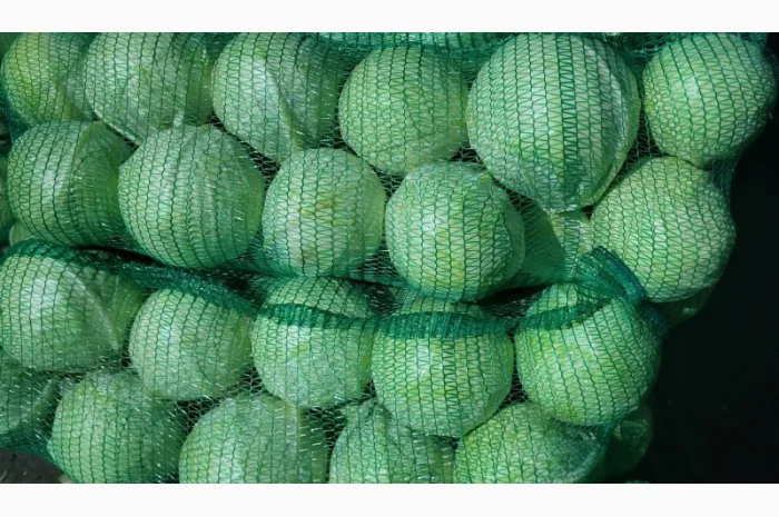 Капуста товарна на продаж- фото № 1