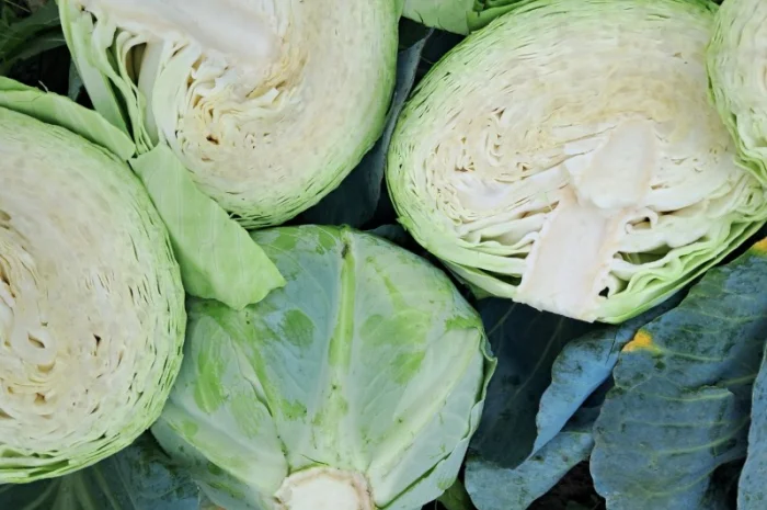 Капуста сорту "Агресор" на продаж- фото № 5
