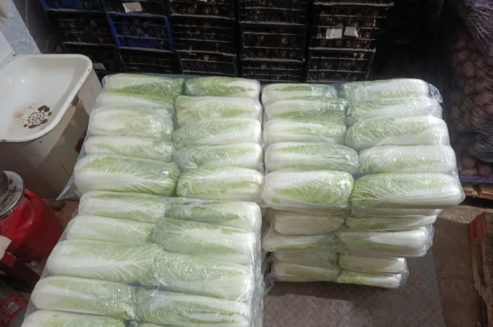 Продаю Пекінську капусту в с. Перебиківці- фото № 5