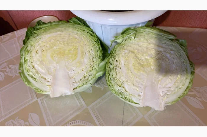 Продаж капусти пізніх сортів- фото № 4