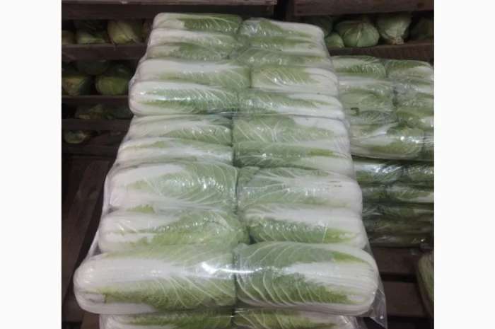 Пекінська капуста оптом- фото № 9