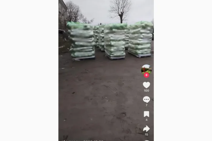 Капуста пізніх сортів на продаж- фото № 1