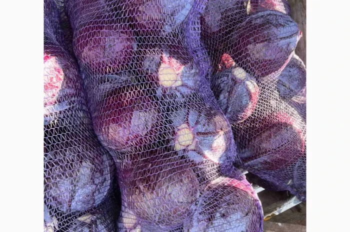 Капуста к/к от украинского фермерского хозяйства- фото № 1