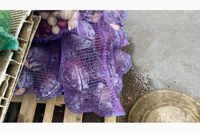 Капуста червоно качану на продажу- фото № 3