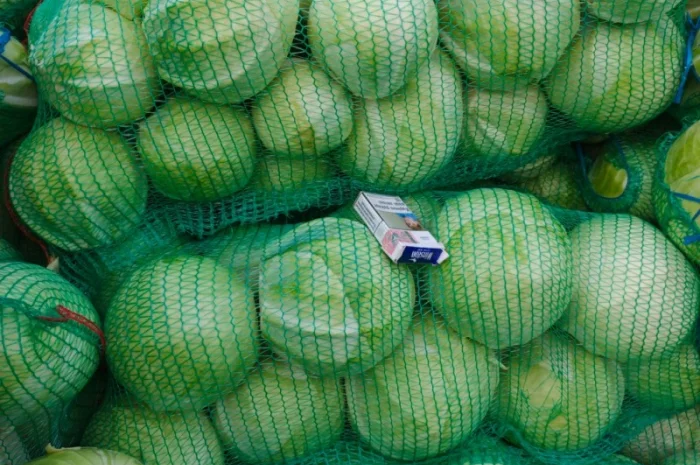 Продаю капусту оптом- фото № 1