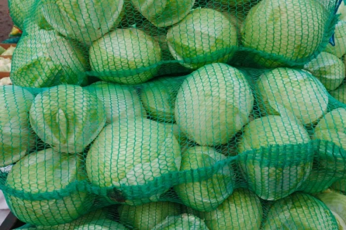 Продаю капусту оптом- фото № 2