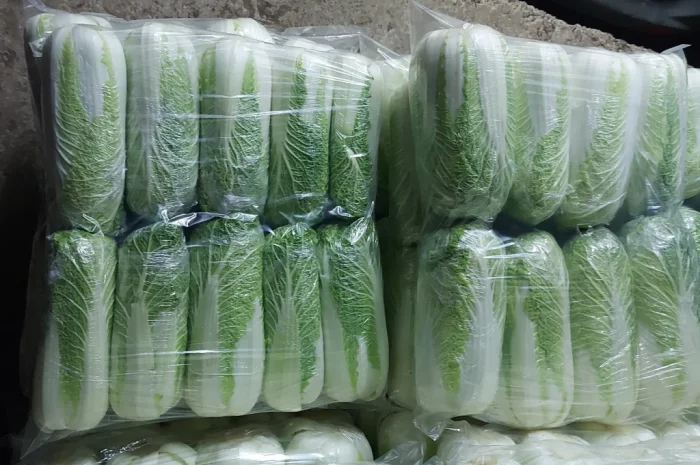 Пекинська капуста на продаж- фото № 4