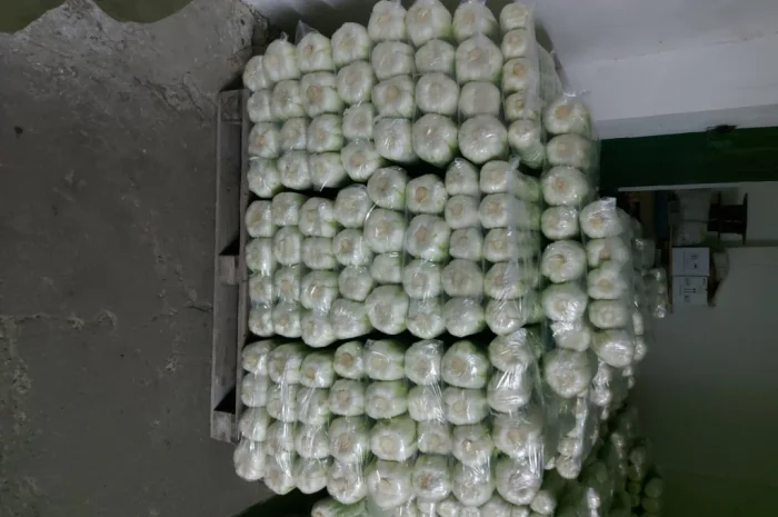 Пекинська капуста на продаж- фото № 5