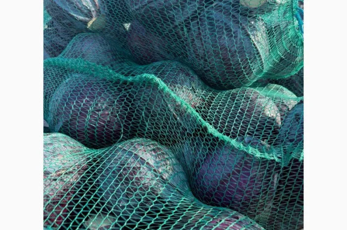 Червоннокачанная капуста оптом- фото № 5