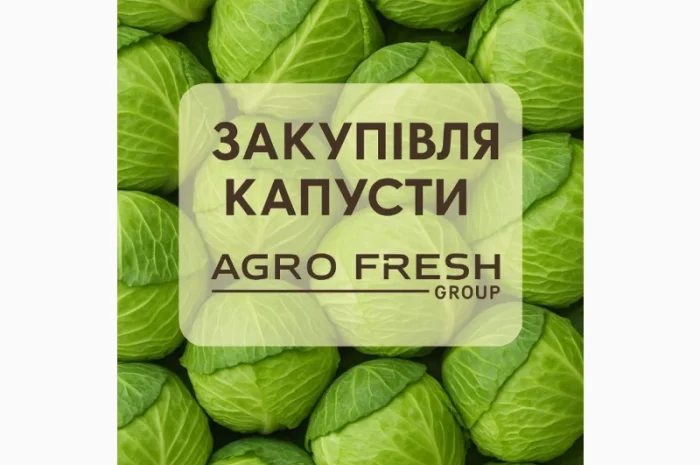 Закупка капусты от ТОВ «Агрофреш Груп»- фото № 1