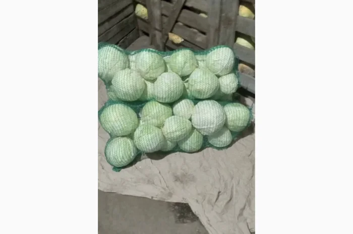 Продаж капусти- фото № 2