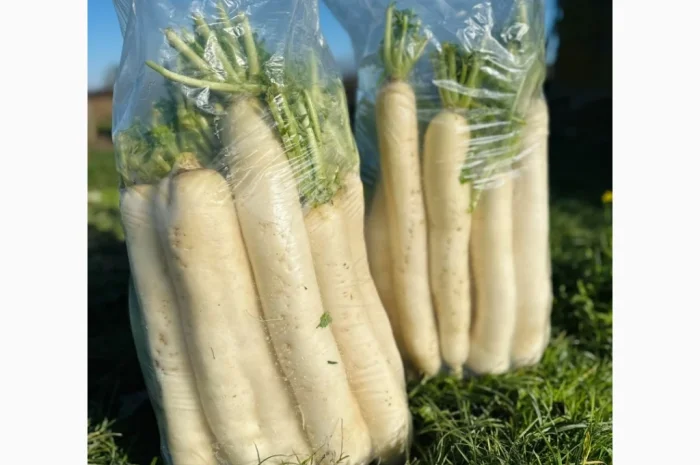 Продажа зимней капусты из Закарпаття- фото № 6