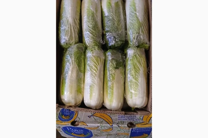 Продажа зимней капусты из Закарпаття- фото № 8