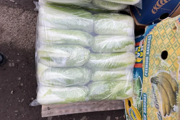 Продается пекінська капуста хорошей якості- фото № 2