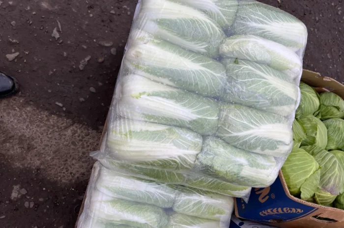 Продается пекінська капуста хорошей якості- фото № 3