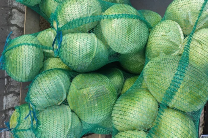 Капуста сорту Агрессор на продаж- фото № 6