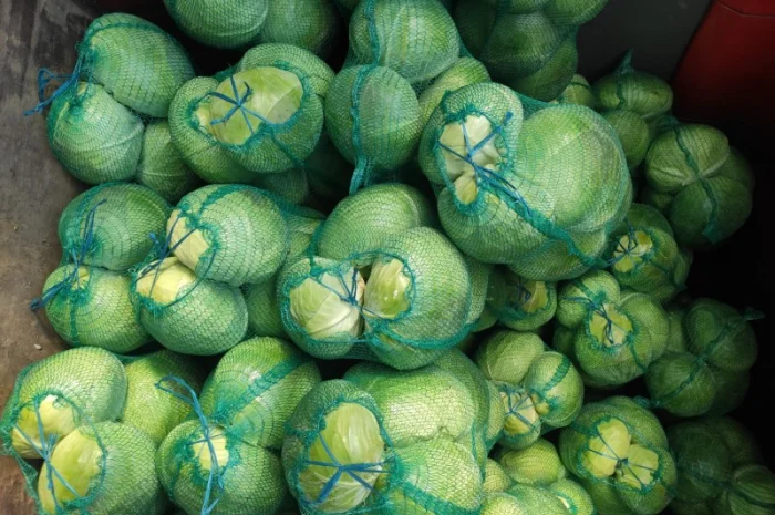 Капуста сорту Агрессор на продаж- фото № 7