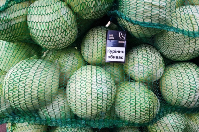 Капуста белокачанная для торговли и шинковки- фото № 2