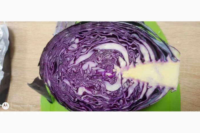 Капуста краснокочанная на продажу- фото № 1