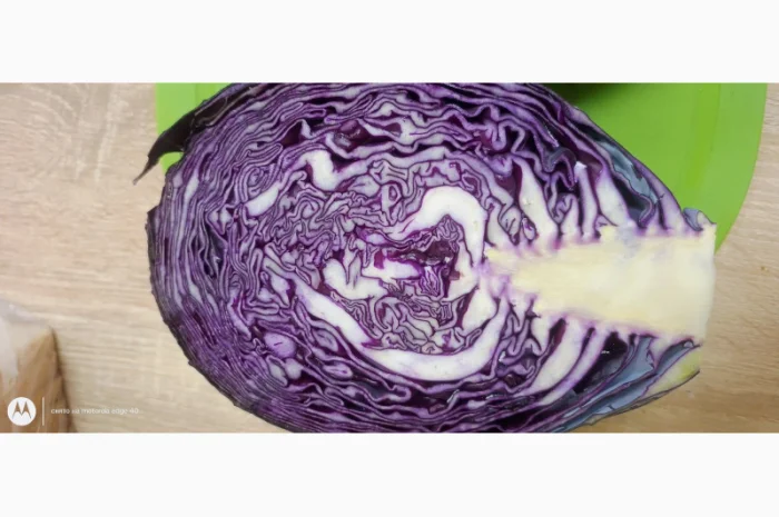 Капуста краснокочанная на продажу- фото № 2