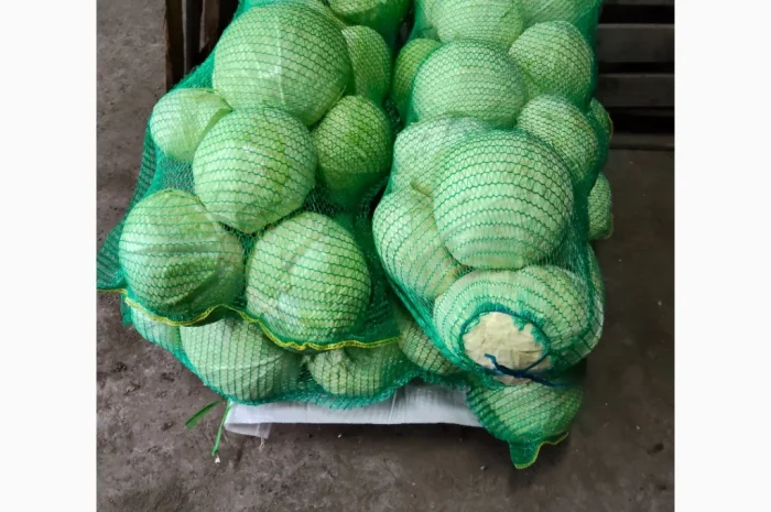 Капуста сорта агрессор на продажу- фото № 4