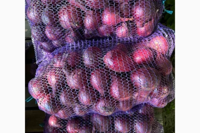 Капуста сорт Агресор на продажу- фото № 5