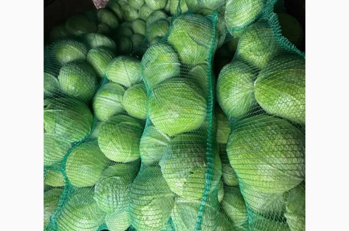 Капуста сорт агресор на продажу- фото № 1