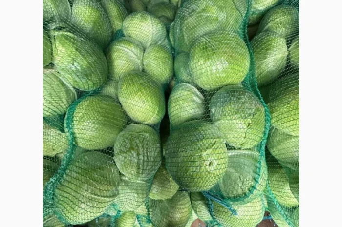 Капуста агресор і саксесор високої якості на продаж- фото № 1