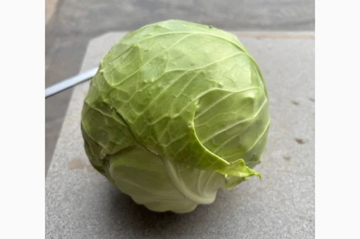 Молодая капуста высшего качества- фото № 3