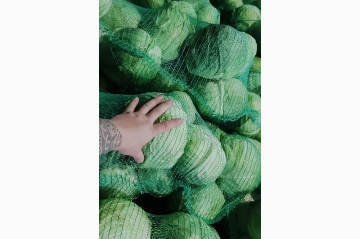 Капуста оптом- фото № 2