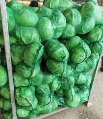 Продажа свежей молодой капусты от 10 тонн- фото № 1