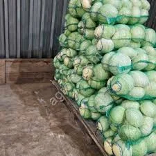 Молода білокачанна капуста 2025 - Опт від 10 тонн- фото № 1