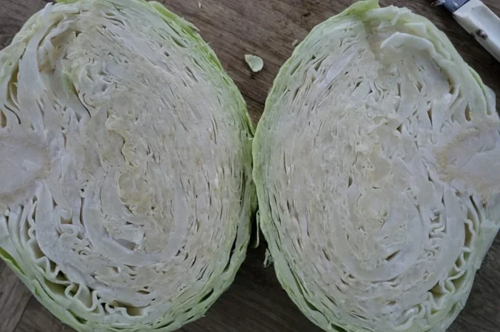 Закупівля капусти оптом- фото № 1