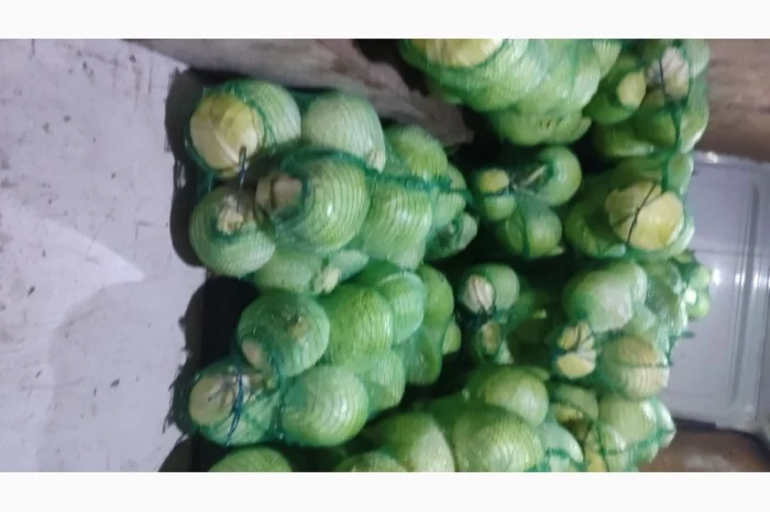 Капуста білокачанна для продажу- фото № 3