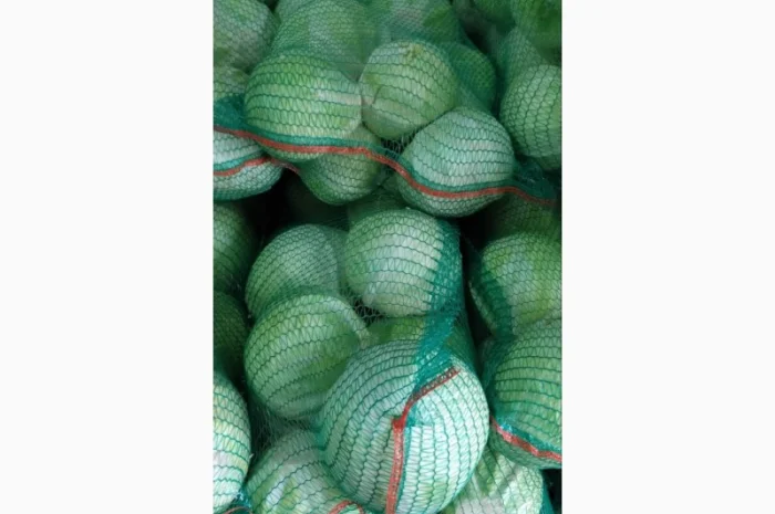 Капуста білокачанна для продажу- фото № 4