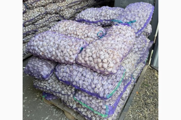 Товарный чеснок оптом- фото № 1