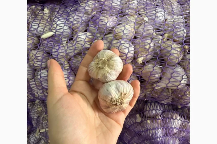 Продажа чеснока фракции 4 см на экспорт- фото № 1