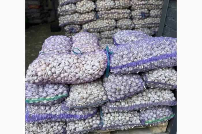 Чеснок фракция 3-4+ на продажу- фото № 1