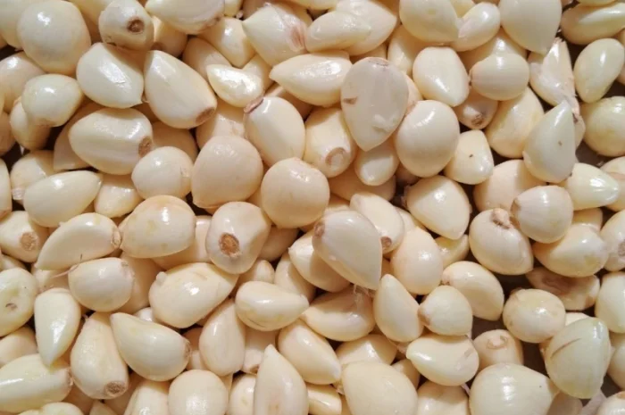 Очищений часник на продаж- фото № 4