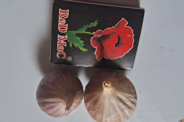 Продаю однозубку часнику сорт Любаша- фото № 6