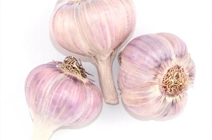 Часник на продаж з ПДВ- фото № 3