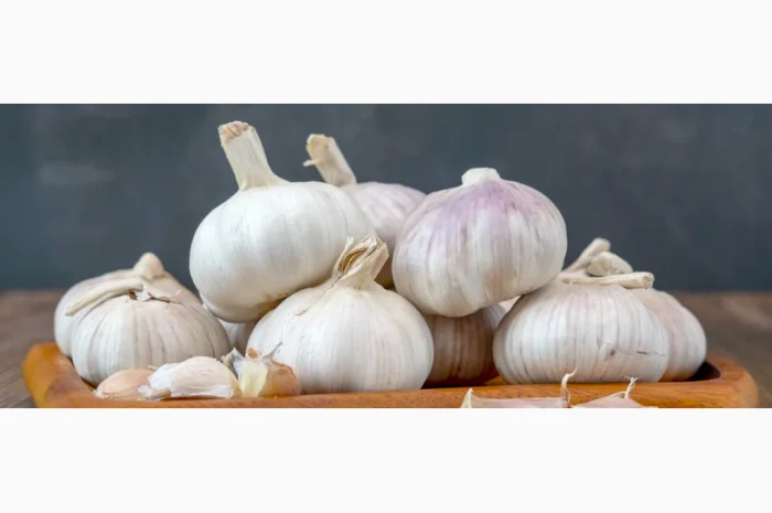 Часник високої якості для бюджетних організацій- фото № 1