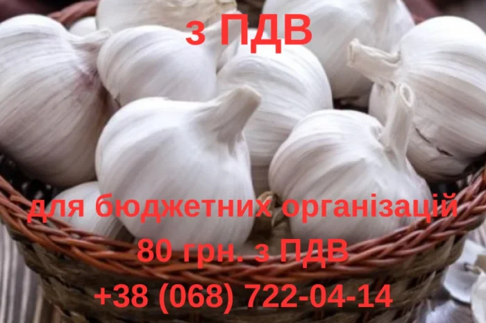 Продаж часнику з ПДВ для бюджетних організацій- фото № 1