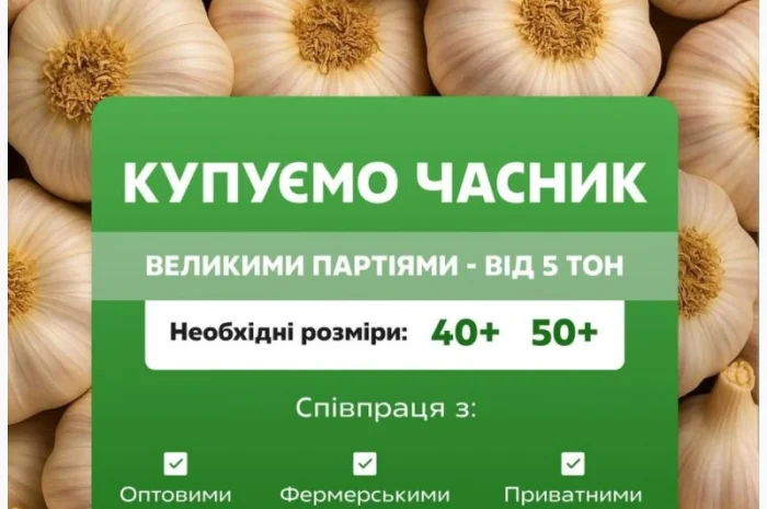 Покупка часнику гуртом- фото № 1