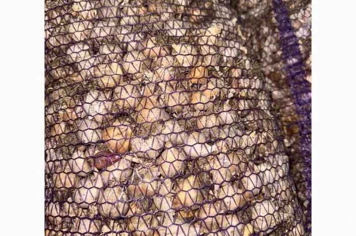 Покупка чеснока для переработки и общего питания- фото № 3