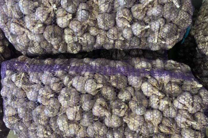 Свіжий очищений часник оптом від ФОП Осадчук А.В.- фото № 3